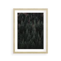 Plakat w ramie 30x40 - Wysoko nad Iglastym Lasem - las, perspektywa - rama drewno