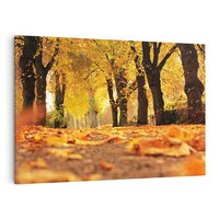Obraz na płótnie 120x80 - Jesień, Liście, Park - Kolorowa Symfonia - jesień, liście
