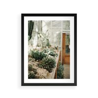 Plakat w ramie 30x40 - Sukulenty w Szklarni - sukulenty, w szklarni - rama czarna