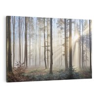 Obraz na płótnie 120x80 - Magiczne zaklęcie: Las pełen drzew - las, drzewa