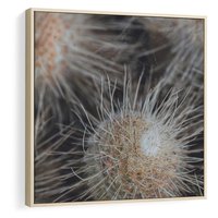 Obraz w ramie 50x50 - Ulotna Piękność Natury - makro, dmuchawce - rama drewno