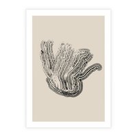 Plakat bez ramy 21x30 - Abstrakcyjne Odbicie - abstrakcyjne odbicie, biało czarny