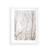 Plakat w ramie 30x40 - Szron na Gałęziach - ośnieżone gałązki, szron na gałęziach - rama biała