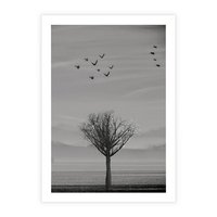Plakat bez ramy 40x50 - Samotne Drzewo - samotne drzewo w polu, czarno białe zdjęcie