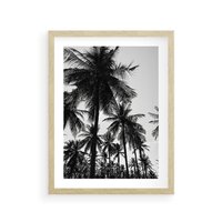 Plakat w ramie 30x40 - Mono Tropiki - palmy, drzewa palmowe - rama drewno