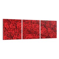 Obraz na płótnie 150x50 - Czerwona Pasja - czerwone, róże