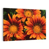 Obraz na płótnie 70x50 - Kwiatowa Esencja - kwiat, kwiaty