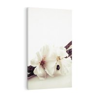 Obraz na płótnie 50x70 - Czuła delikatność wanilii - wanilia, kwiaty