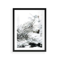 Plakat w ramie 40x50 - Chwila Zimowej Magii - iglasta gałązka, śnieg - rama czarna