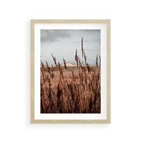 Plakat w ramie 40x50 - Wysokie Trawy w Górskim Krajobrazie - suche trawy, wysokie trawy - rama drewno