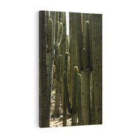 Obraz na płótnie 50x70 - Wyjątkowy Klimat Boho - kaktusy, pustynia