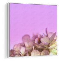 Obraz w ramie 50x50 - Kwiatowa Uroda - kwiaty, hortensje - rama biała