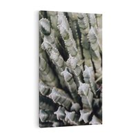 Obraz na płótnie 50x70 - Boho kaktusy na pustyni - kaktusy, pustynia