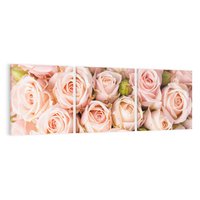 Obraz na płótnie 150x50 - Delikatność róż - piękno natury - róże, kwiaty