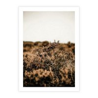Plakat bez ramy 21x30 - Krajobraz W Naturze: Beże i Brązy - suche krzewy, natura