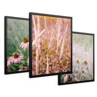 Zestaw obrazy w ramie 40x50 galeria - Kwiaty, łąka, suche, trawy - rama czarna