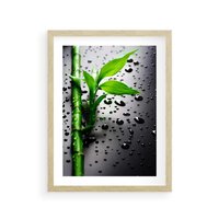 Plakat w ramie 50x70 - Bambusowa Harmonia - bambus, liście - rama drewno