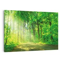 Obraz na płótnie 100x70 - Urok lasu na drodze - las, drzewa