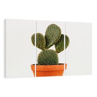 Obraz na płótnie 120x80 - Kwiatowy taniec kaktusa - kaktus, kwiat