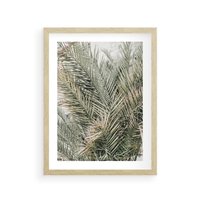 Plakat w ramie 40x50 - Egzotyczny Świat Palm - palmy, liście palmy - rama drewno