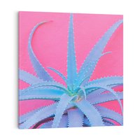 Obraz na płótnie 30x30 - Piękno Pustyni - kaktusy, liście