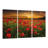 Obraz na płótnie 120x80 - Maki na łące: Przebudzenie wiosny - mak, maki