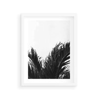 Plakat w ramie 50x70 - Tropikalna Uroda w Czerni i Bieli - fotografia czarno biała, liście palmy - rama biała