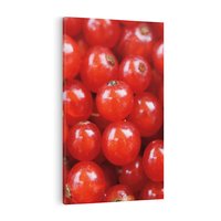 Obraz na płótnie 70x100 - Pożeczka - Czerwony Skarb - pożeczka, owoc