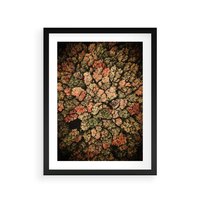 Plakat w ramie 40x50 - Jesień z Lotu Ptaka: Malowniczy Las - las jesienią z lotu ptaka - rama czarna