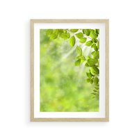 Plakat w ramie 50x70 - Zielone liście natury - liści, zieleń - rama drewno