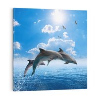 Obraz na płótnie 50x50 - Spotkanie z naturą - morze, delfiny
