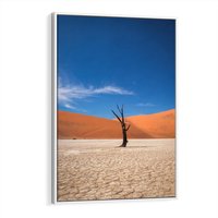 Obraz w ramie 80x120 - Słońce i Suche Drzewo - pustynia, suche - rama biała