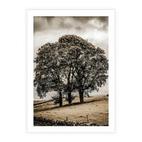 Plakat bez ramy 30x40 - Spokojna Osamotniona Chwila - beżowe kolory, samotne drzewo na polu