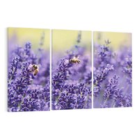 Obraz na płótnie 120x80 - Magia lawendy delikatne kwiaty - lawenda, kwiat