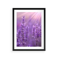 Plakat w ramie 40x50 - Fioletowa harmonia lawendy - lawenda, fiolet - rama czarna