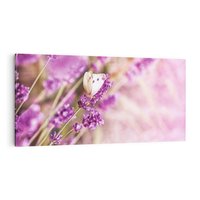 Obraz na płótnie 100x50 - Majestat lawendy: fioletowe pola - lawenda, fiolet