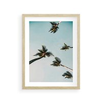 Plakat w ramie 40x50 - Palmy i Niebo - palmy, ujęcie z dołu - rama drewno