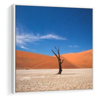 Obraz w ramie 80x80 - Słońce i Suche Drzewo - pustynia, suche - rama biała
