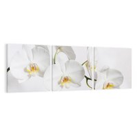 Obraz na płótnie 120x40 - Orchidea Kwiat - orchidea, kwiat