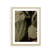 Plakat w ramie 40x50 - Urok Egzotyki - kaktusy, boho - rama drewno