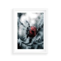 Plakat w ramie 30x40 - Chwila Zimowego Uroku - zima, ośnieżona gałązka - rama biała