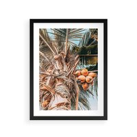 Plakat w ramie 50x70 - Tropikalna Palma: Fotografia z Kokosami - palma kokosowa, kokosy - rama czarna