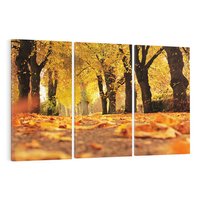 Obraz na płótnie 120x80 - Jesień, Liście, Park - Kolorowa Symfonia - jesień, liście