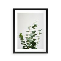 Plakat w ramie 40x50 - Żywa eukaliptusowa zieleń - eukaliptus, zielone - rama czarna