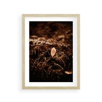 Plakat w ramie 40x50 - Gałęzie i Liść w Brązowej Tonacji - suche gałęzie, liść - rama drewno