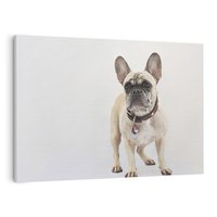 Obraz na płótnie 120x80 - Wernisaż psiego wdzięku - pies, piesek