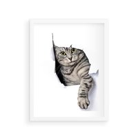 Plakat w ramie 30x40 - Tajemniczy kot i jego świat - kot, dziura - rama biała