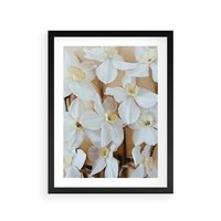Plakat w ramie 50x70 - Białe Narcyzy - narcyzy, kwiaty - rama czarna