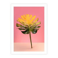 Plakat bez ramy 21x30 - Majestatyczna monstera - monstera, liść