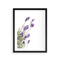 Plakat w ramie 30x40 - Delikatny Urok - lawenda, kwiaty - rama czarna